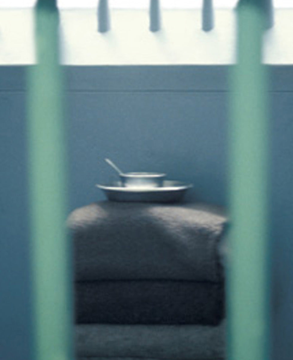 Alfredo Jaar Print for Sale. Detail