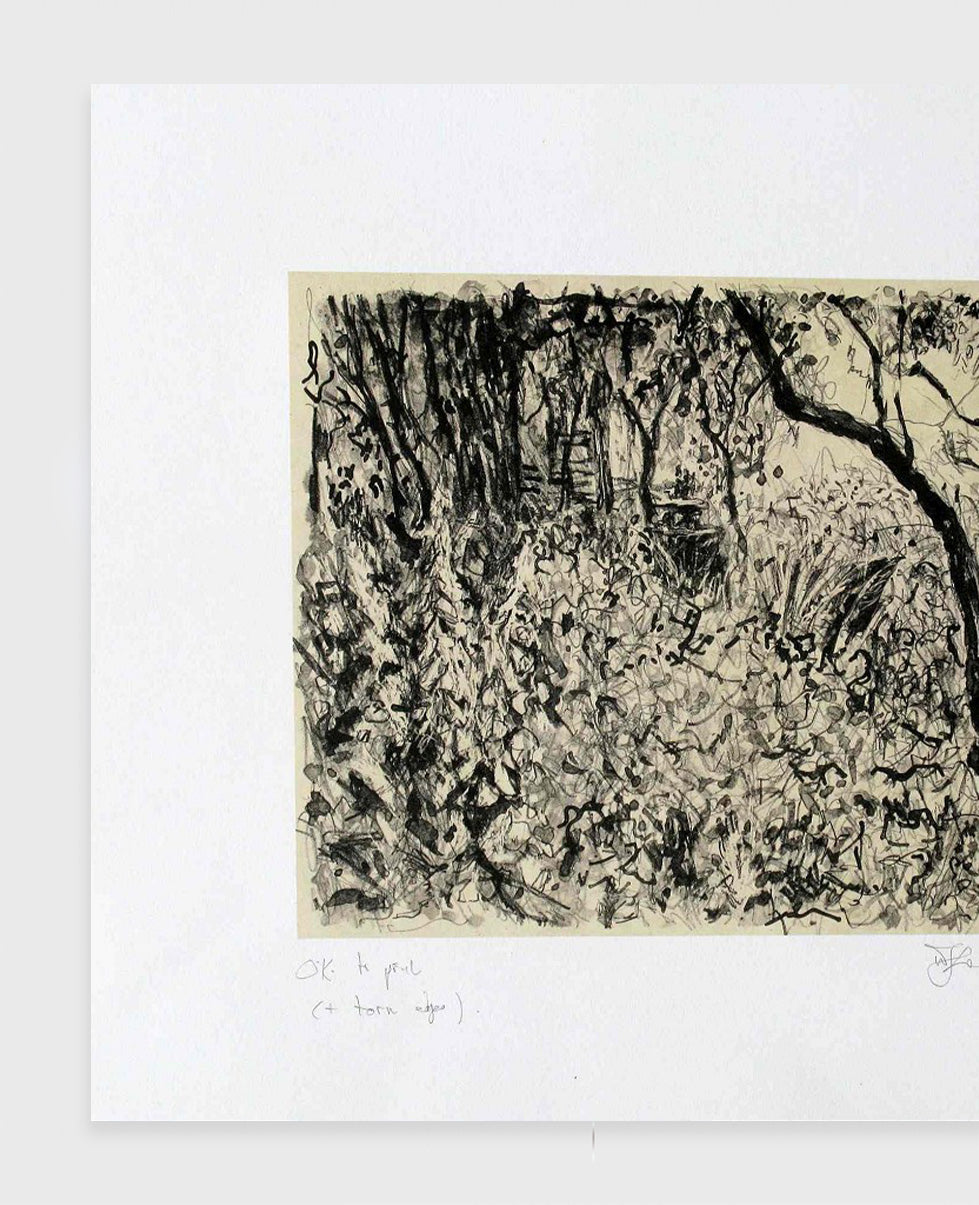William Kentridge 'Garden at Houghton Drive (Foxglove)' (2012)
