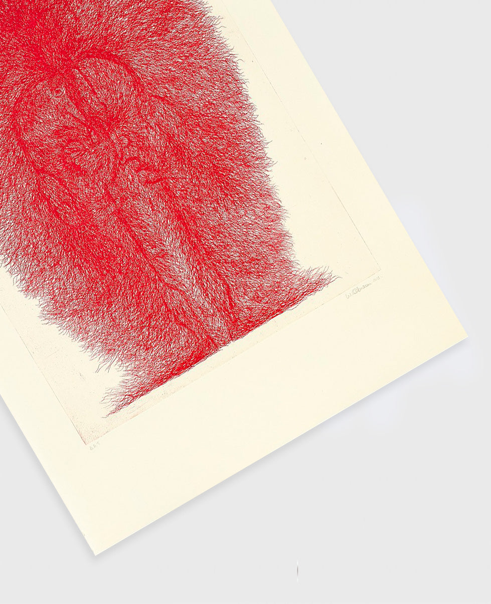 Walter Oltmann 'Bleeder' (2013)