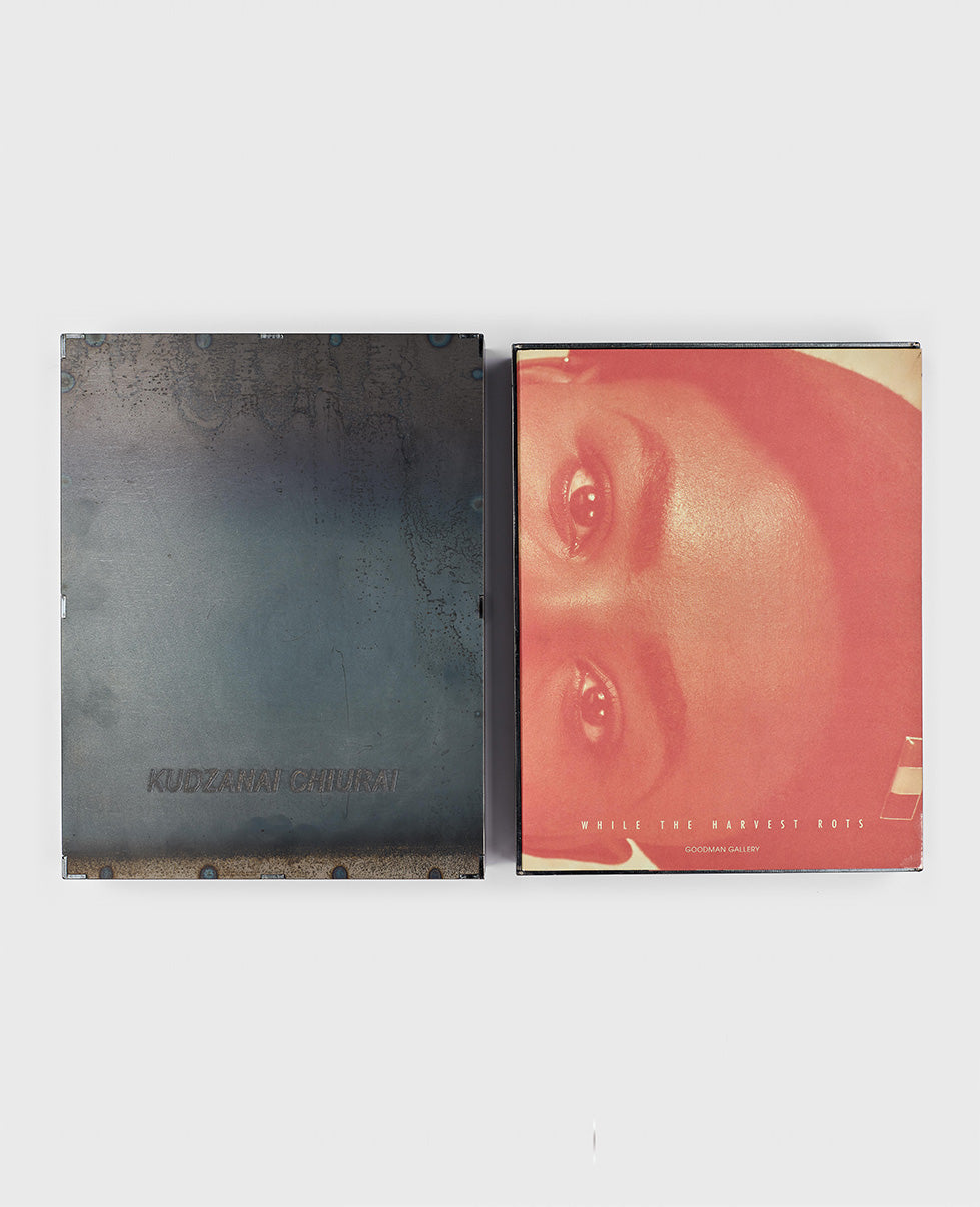 While the Harvest Rots : The possessing worlds of Kudzanai Chiurai's art