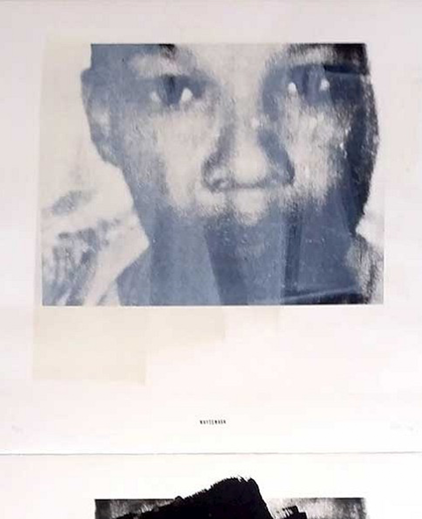 Gabrielle Goliath 'Blackout / Whitewash - diptych' (2014)