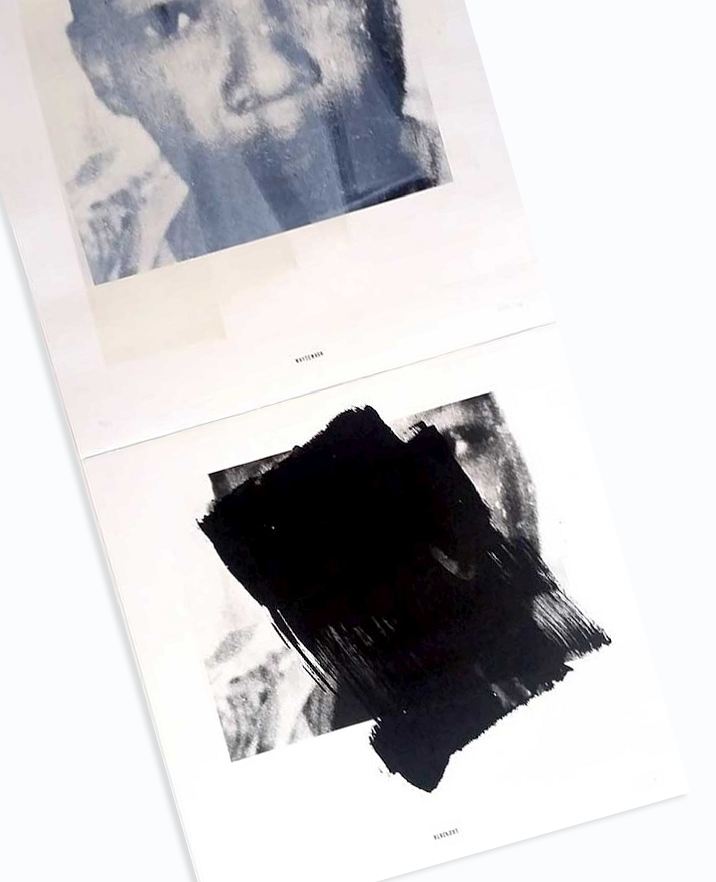 Gabrielle Goliath 'Blackout / Whitewash - diptych' (2014)