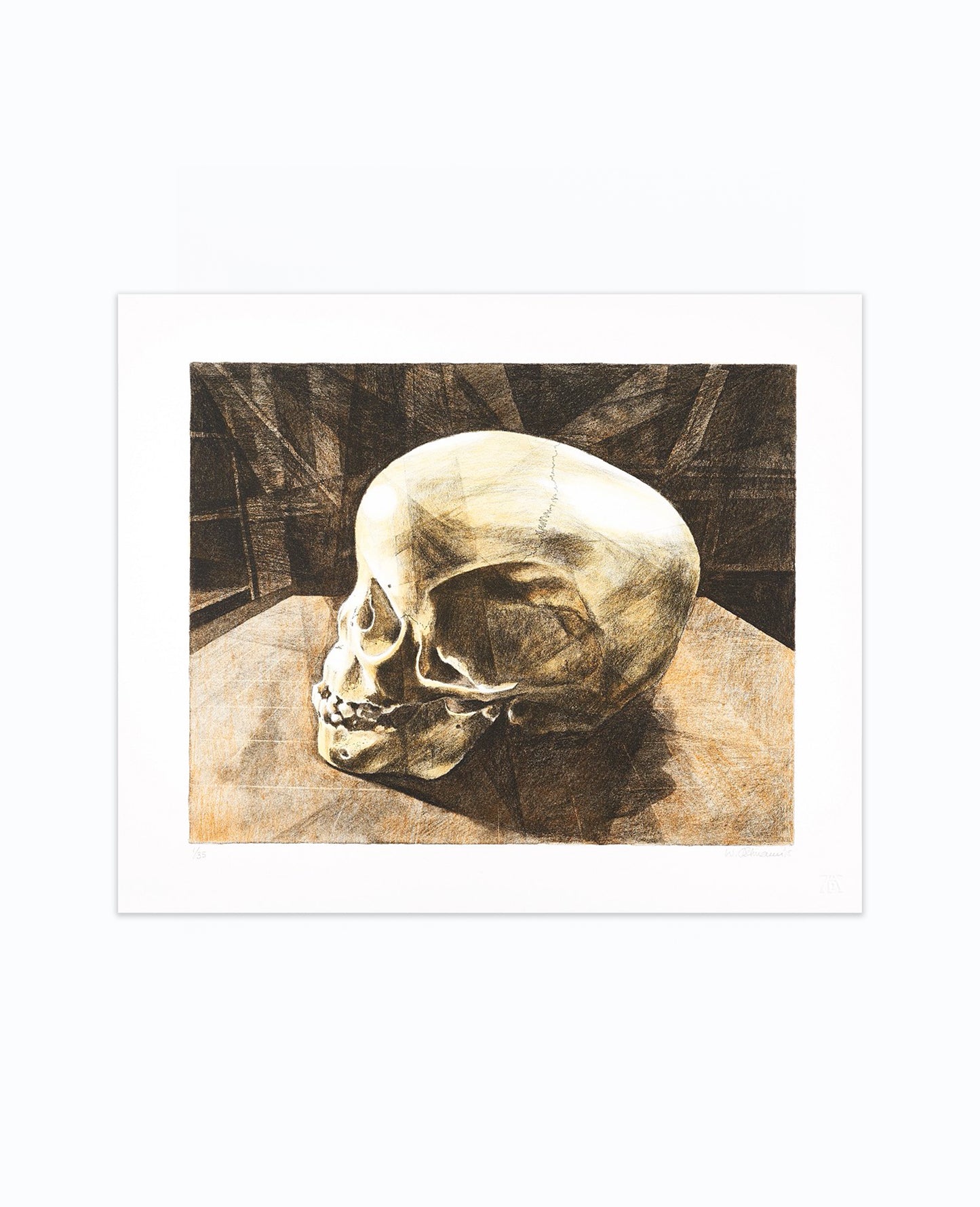 Walter Oltmann 'Child Skull B' (2015)