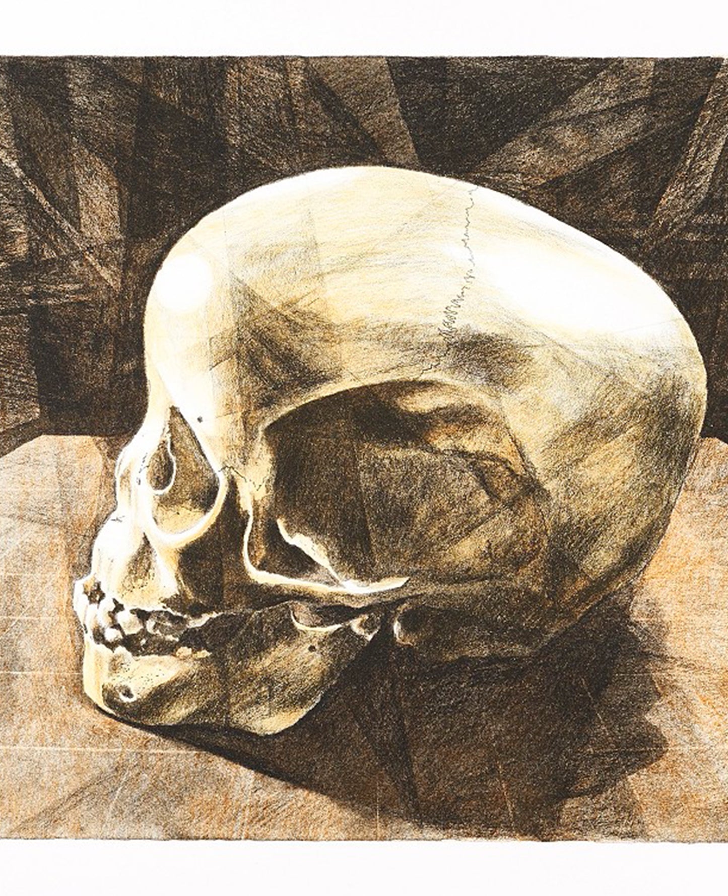 Walter Oltmann 'Child Skull B' (2015)