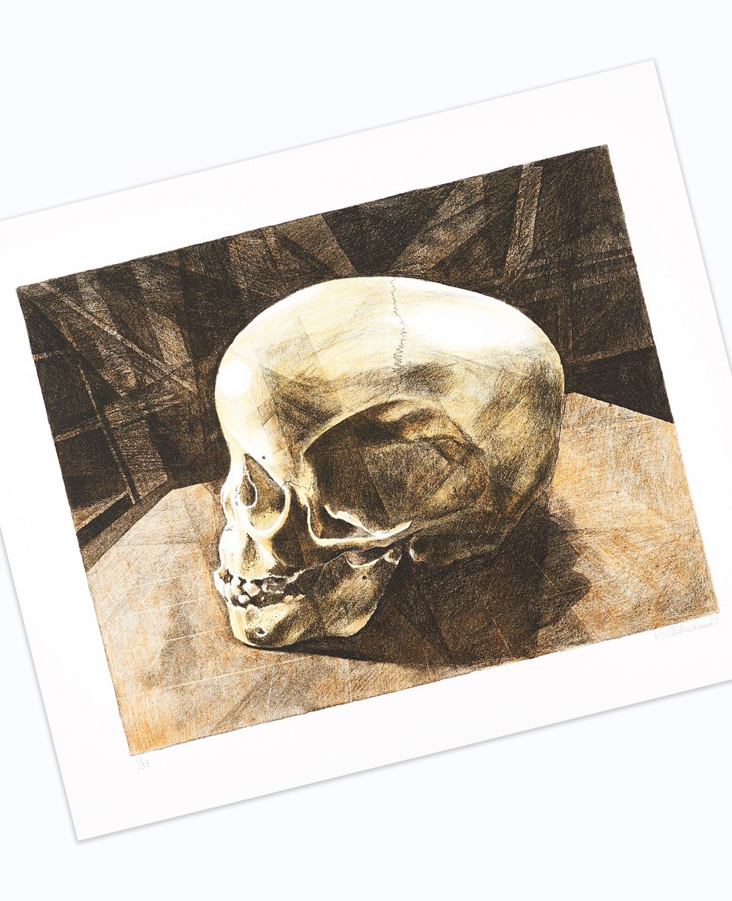 Walter Oltmann 'Child Skull B' (2015)