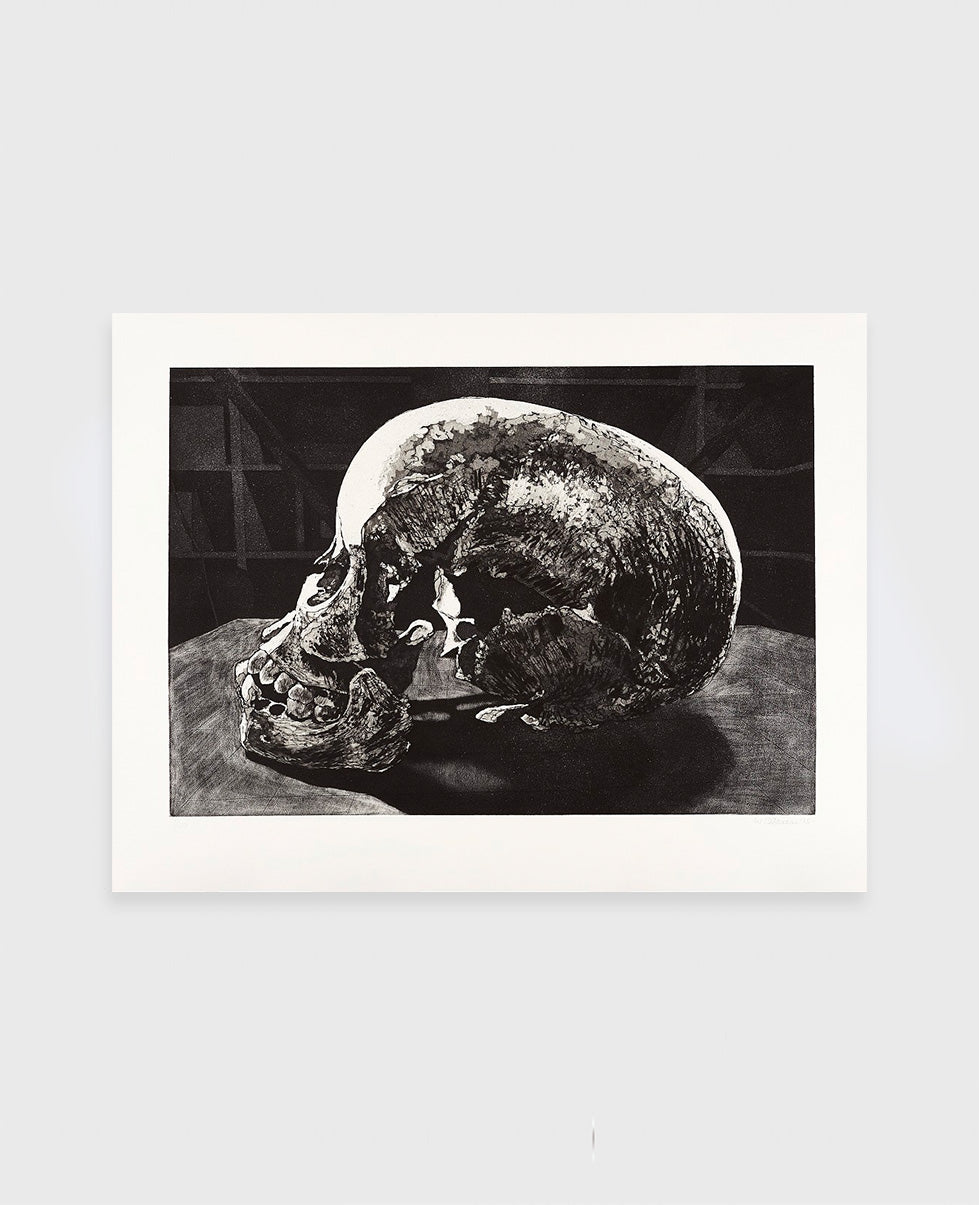Walter Oltmann 'Ex Situ (Child Skull)' (2015)