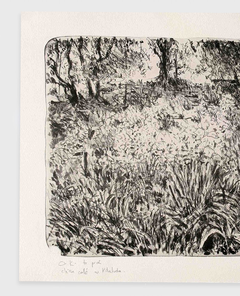 William Kentridge 'Garden at Houghton Drive (Agapanthus)' (2012)