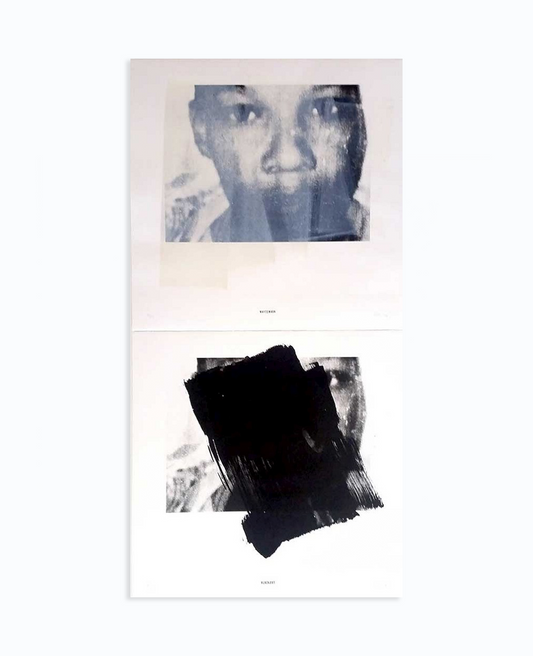 Gabrielle Goliath 'Blackout / Whitewash - diptych' (2014)