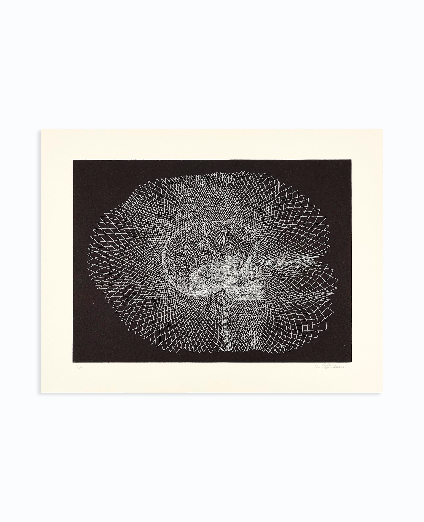 Walter Oltmann 'Infant Skull' (2015)