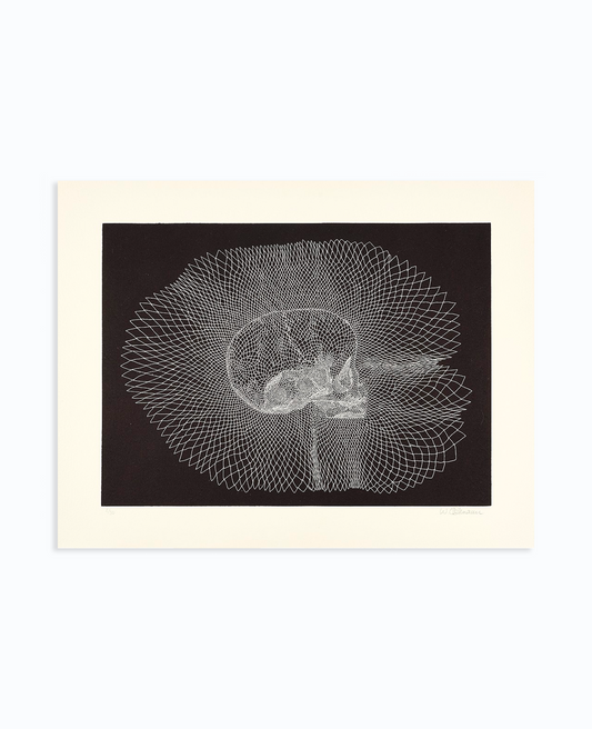 Walter Oltmann 'Infant Skull' (2015)