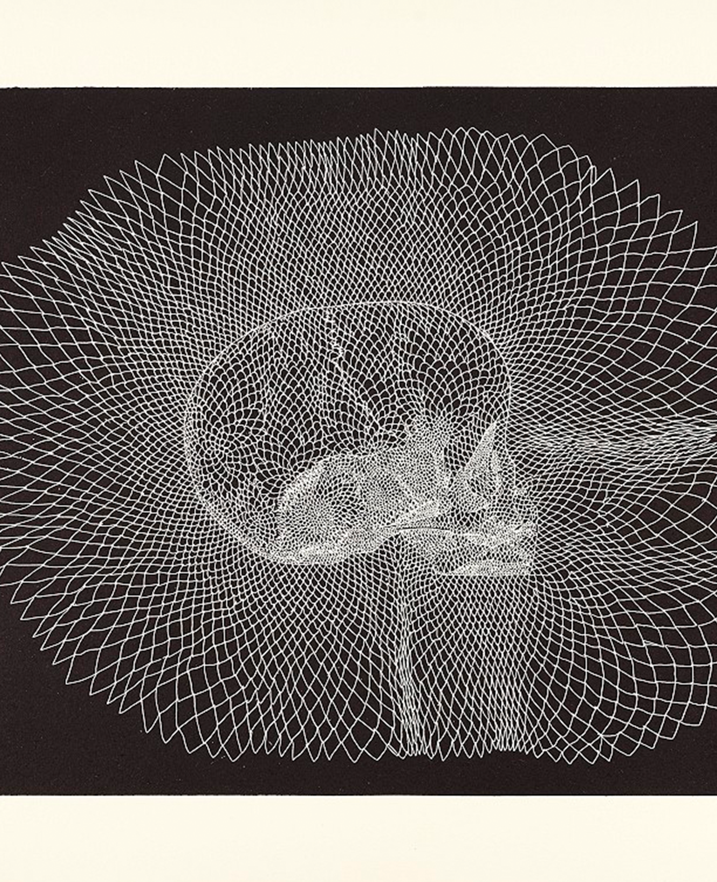 Walter Oltmann 'Infant Skull' (2015)